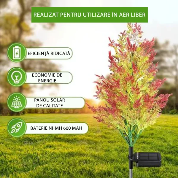 ☀️ Panou solar eficient și design rezistent la apă