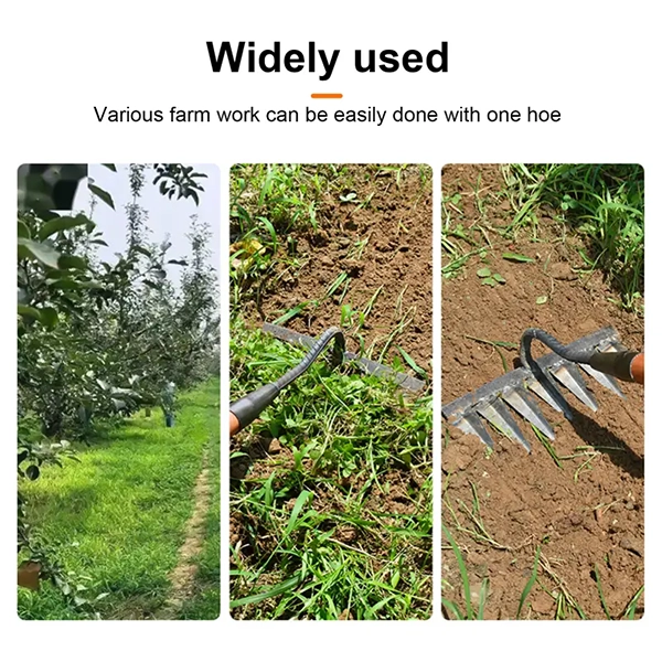 Tot ce ai nevoie pentru grădina ta