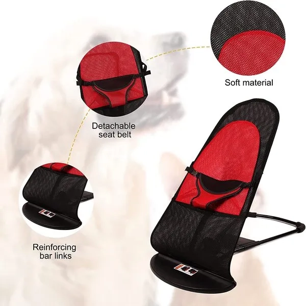 PAWSWING®: Prospețime și Confort