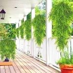 Feriga suspendată artificială (80 cm) - FERNY®, feriga suspendată artificială ferigă 80 cm