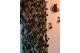 Прикачено изображение от потребител 1 за Gard decorativ extensibil pentru grădina ta GreenFence®.