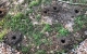 Прикачено изображение от потребител 1 за Burghiu inovator pentru grădină HOLEDRILL®.